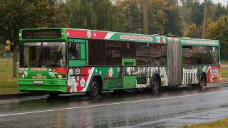 Гомель, автобус МАЗ-105 №036064, маршрут 43 (25.03.2024)