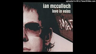 Watch Ian Mcculloch Love In Veins video