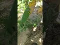 sinkhole discovery #earthquake #earthquake