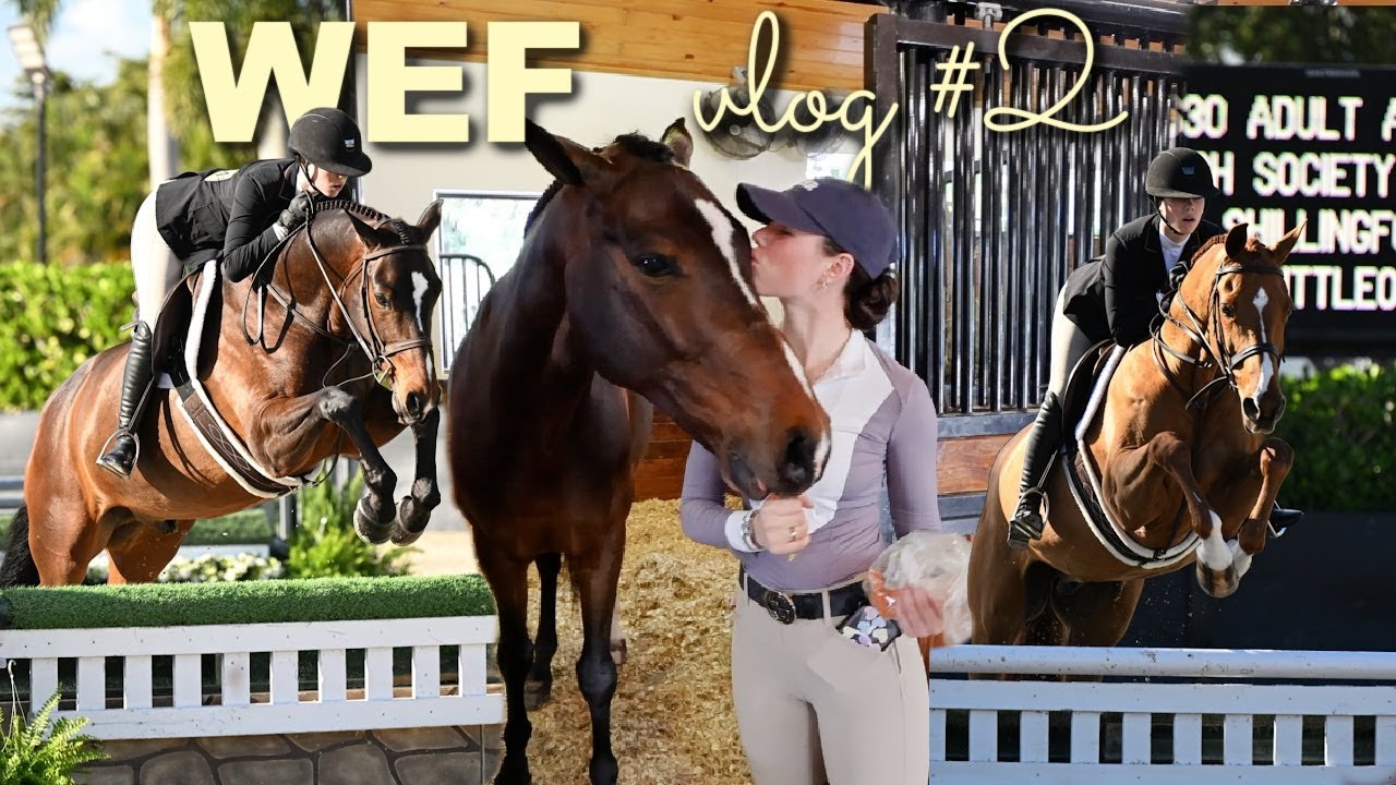 Видеоблог WEF #2: показываю новую лошадь и одежду для верховой езды!!