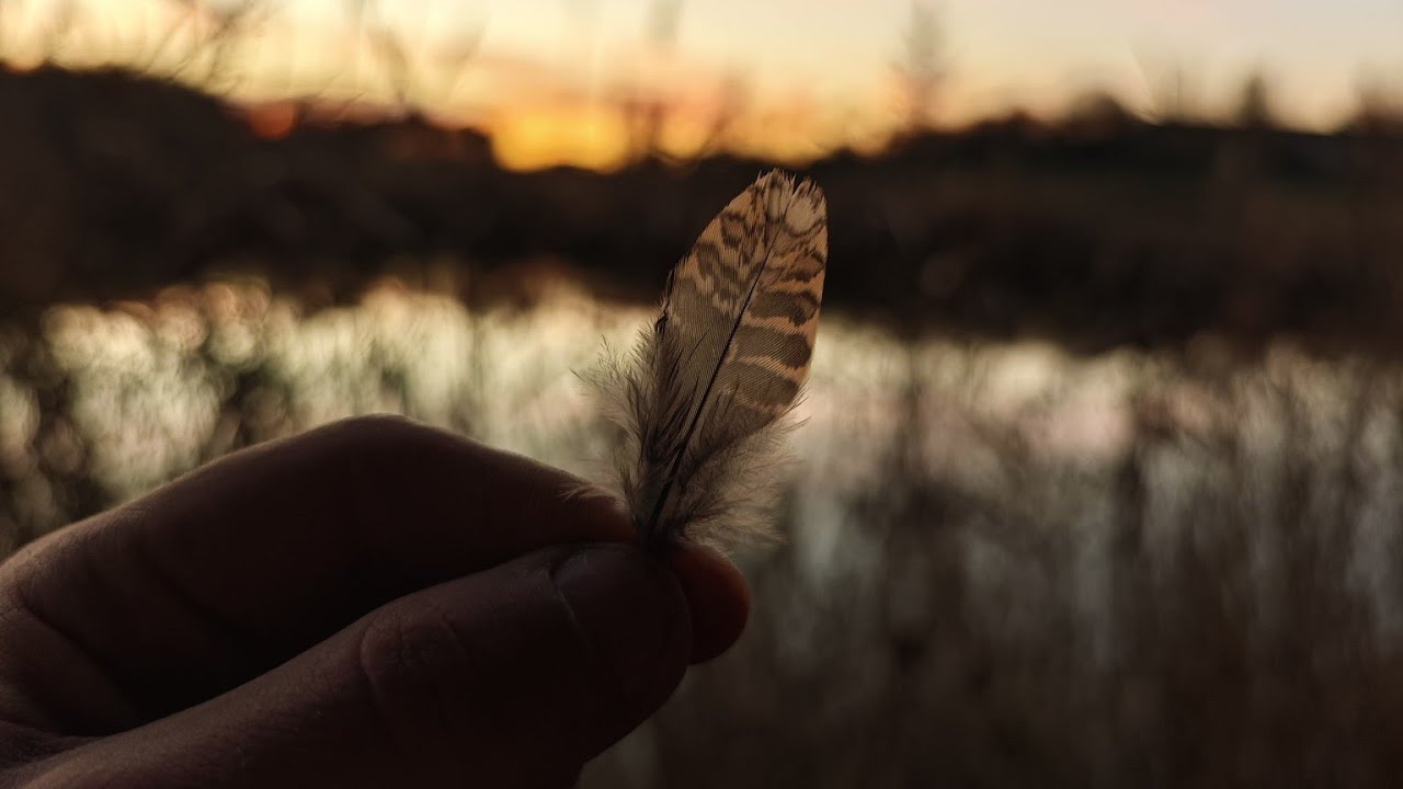 Caccia alla beccaccia | Sud-Italia in Lituania | Club Scandinavia