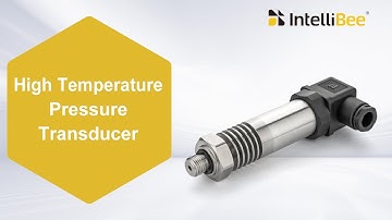 High Temperature Pressure Transducer, Thermal Oil / Gas Turbines Pressure Transmitter - IntelliBee