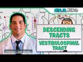Neurology | Descending Tracts: Vestibulospinal Tract Mp3 Song