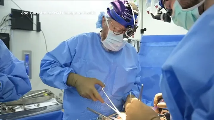 Surgeons transplant gene edited pig kidney into brain dead patient - DayDayNews