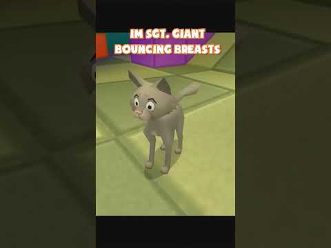 What was that cats name?