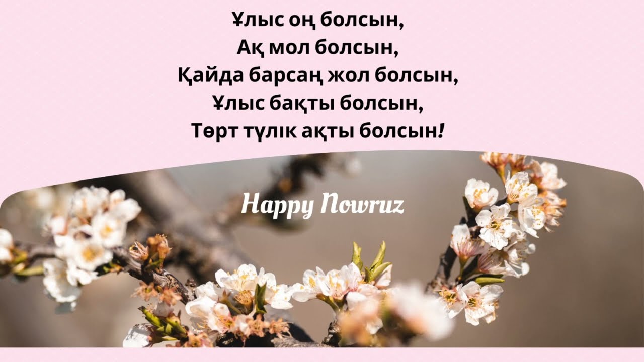 Кәсіптік мектептегі жасырын камера порносы Дәретханадағы порно видео сорақы