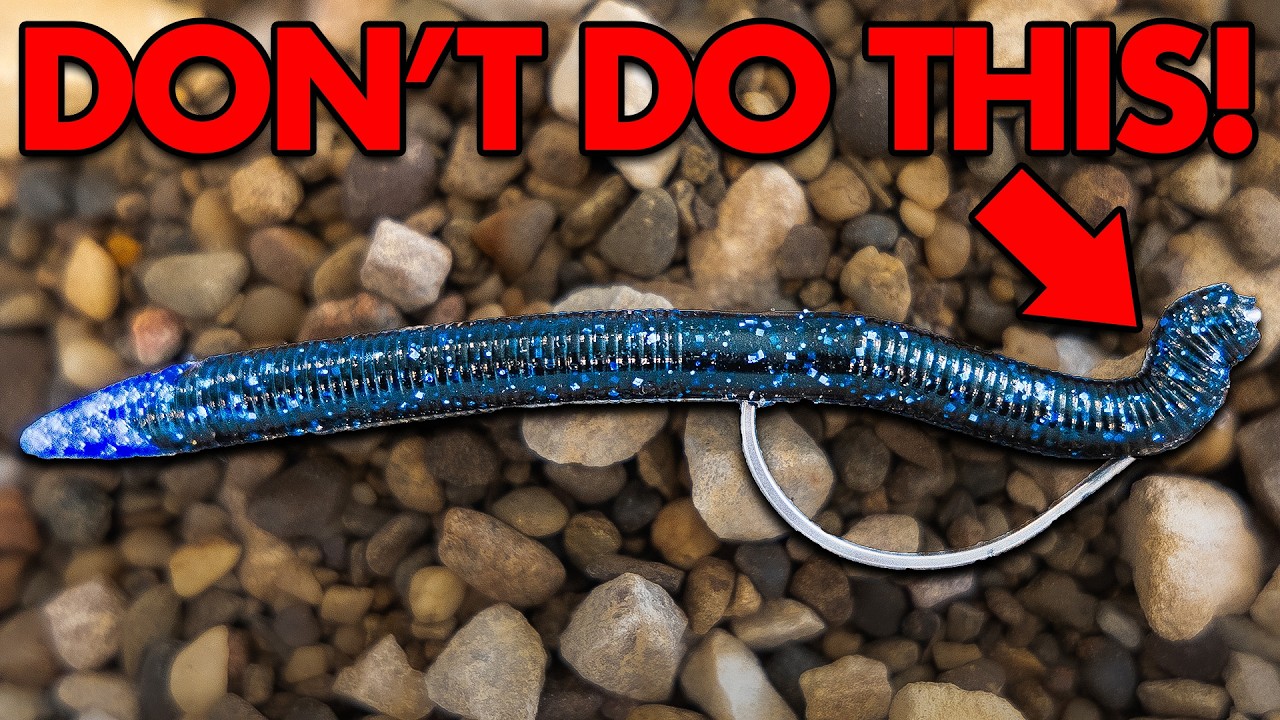 5 Beginner Fishing Mistakes You NEED TO Avoid!