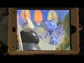 A bug s’life night party