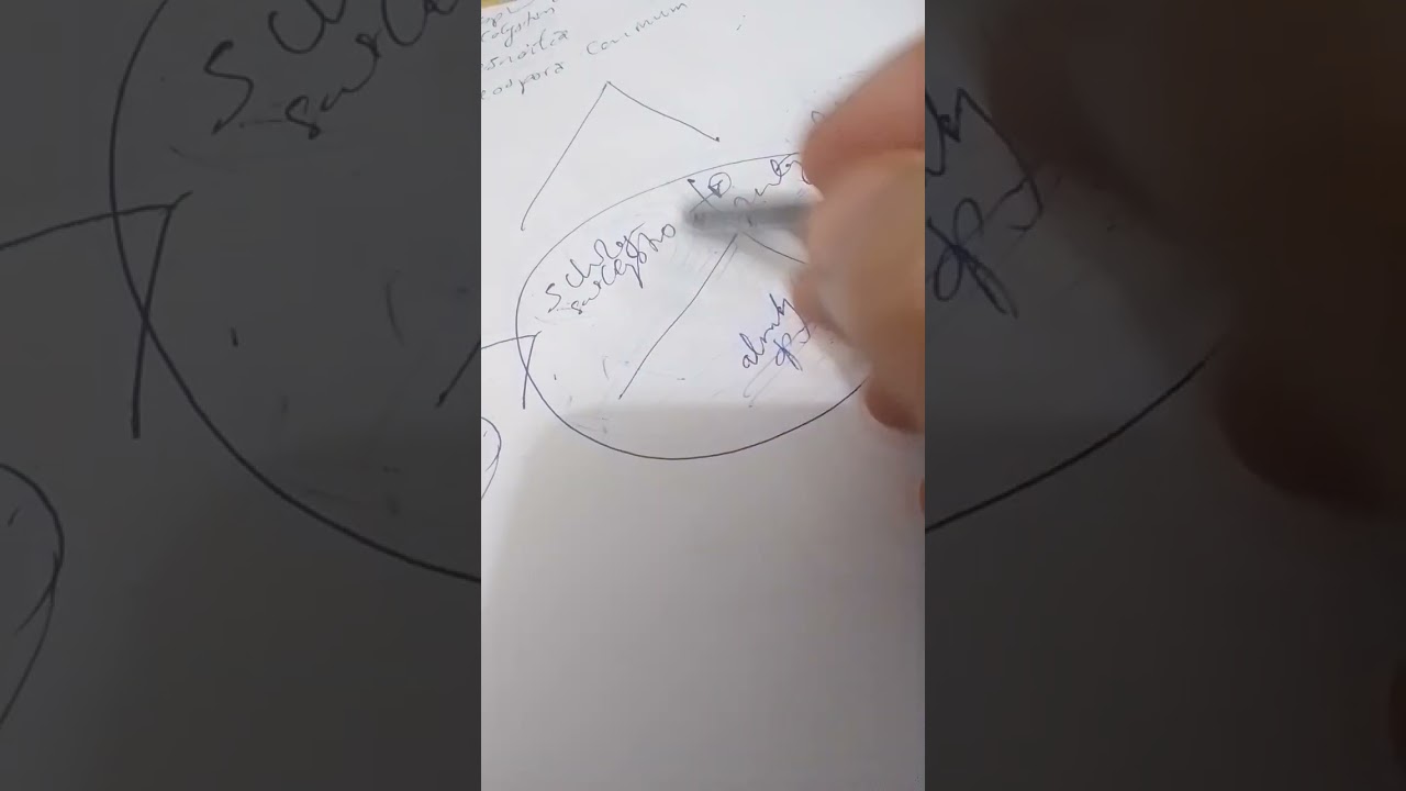 6- Sarcocystis. Besnoitia.Neospora caninum