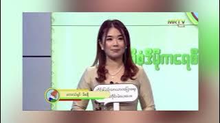 စစ်ကောင်စီ ရွေးကောက်ပွဲ ကမ်ပိန်းအတွက် နာမည်ကျော် အနုပညာရှင်များစွာကို ကြော်ငြာခိုင်း