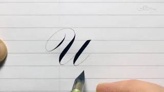 The Letter U In An Italian Style Accented Engrossers Roundhand Pointed Pen Calligraphy Script