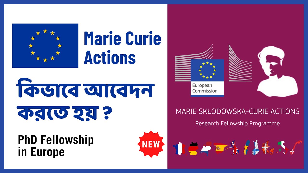 marie curie phd fellowship