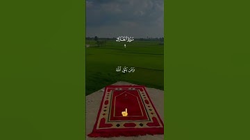آية من القرآن الكريم ☝️ #الرحمن #الرحمن #دويتو #المصحف #اكسبلور #راحه_نفسيه #duet #تيك_توك