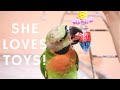 CAGE SETUP FOR TOY-OBSESSED PARROT | CAGE TOUR (VINNY SUBTITLES)