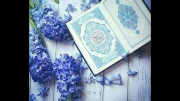 قرآن كريم السديس  أجمل حالات واتس اب 🖤 سوره الاسراء