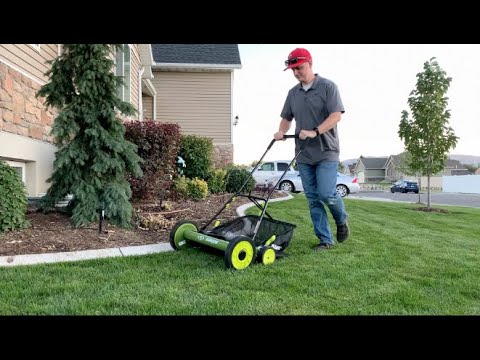 Video: Lawn Mowers With A Grass Catcher: Types Of Bags For Collecting Grass. How To Choose A Lawn Mower For Uneven Areas?