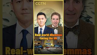 Real-world dilemmas facing the UN