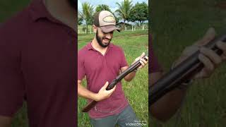 Atirando De Espingarda Calibre 32 Em Cocos Verdes