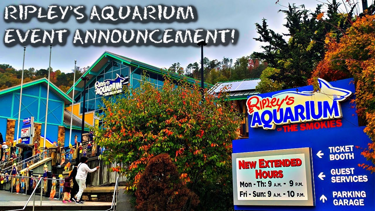 RIPLEY'S ANNOUNCEMENT Trick or Treat Booth INVITES TO OTHER YOUTUBE