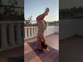 Summer practice #yoga #yogapractice #summeryoga #pincha #forearmstand