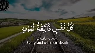 Download Lagu Kullu nafsin zaikatul maut kullu/telawat Quran kullu nafsin zaikatul maut  MP3