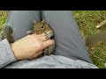 Cutest squirrel doesn't want his massage to stop