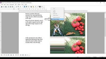 Extract Image from PDF with Foxit Advanced PDF Editor