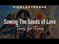 ❤️ Sowing The Seeds Of Love; Tears For Fears (Espa&ntilde;ol - Ingl&eacute;s)