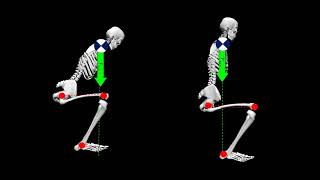 Basics of Lifting Mechanics