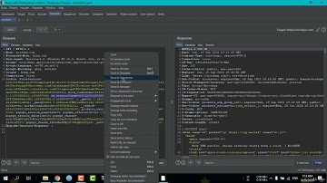 Burp Suite Sequencer
