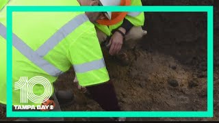 Archaeologists who unearthed Tampa Bay's erased Black cemeteries will search for mass graves from 19