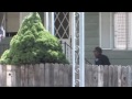 Police Search For A Felony Suspect In Modesto, California - Police Manhunt Footage