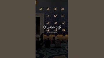 📖 تلاوة سورة العنكبوت - الآية 58 | جمال القرآن مع الصوت العذب
