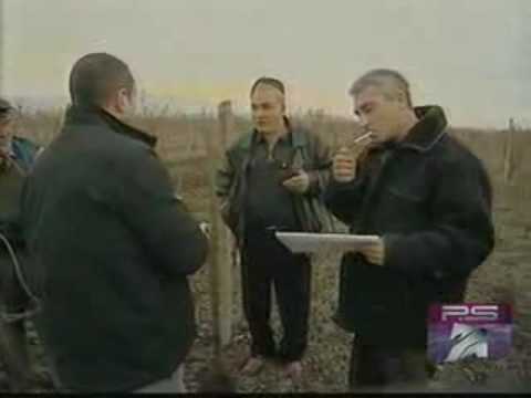 კახელები იხსენებენ გრეჩიხას წარსულს