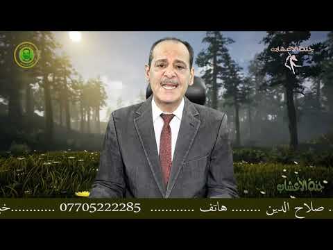زيت الريحان مع خبير الاعشاب حسن خليفه
