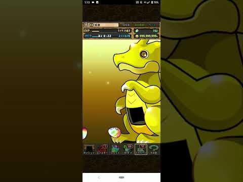 【パズドラ】パズパス12月12日配布のパズドラZゴッドフェス3連引く