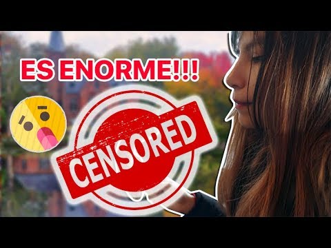 ME ENCANTO LA SALCHICHA BELGA!?? 😱 -Ary Vilchis- - YouTube