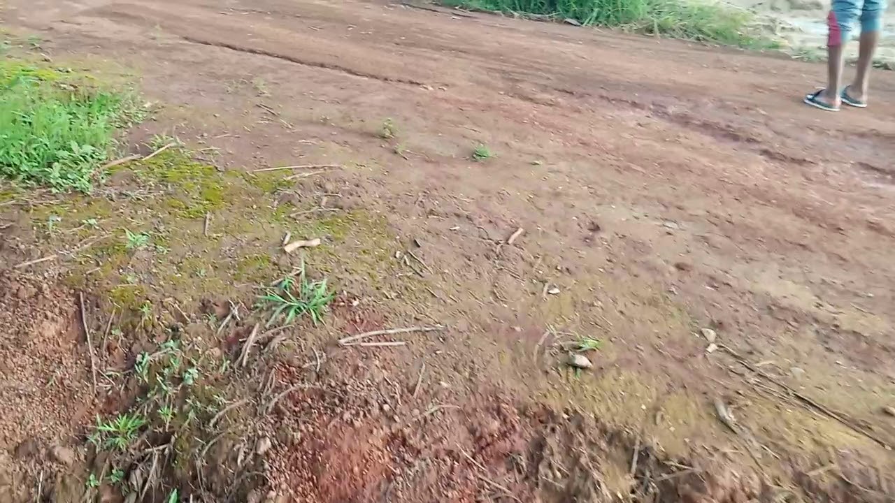 Beautiful Lands for sale in Bamenda Cameroon YouTube