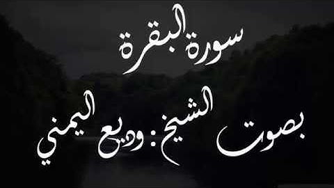 سورة البقرة بصوت الشيخ وديع اليمني - مكررة 2