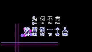 王菲 Faye Wong   容易受伤的女人 rong yi shou shang de nu ren