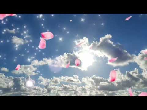 Нежное сердце - Сергей Альбин.
