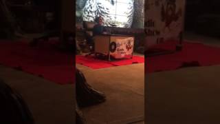 National Aviary 2016 Holiday Show Part 1