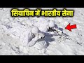 सियाचिन के योद्धा । Siachen Glacier #shorts by In Facts Official