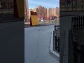9 августа 2023 г.