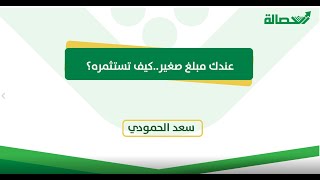 عندك مبلغ صغير.. كيف تستثمره؟