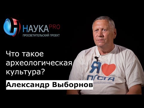 Что такое археологическая культура? | Лекции по археологии – археолог Александр Выборнов | Научпоп