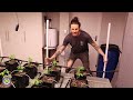 Trolmaster & Nanolux Zx Grow Room Explained