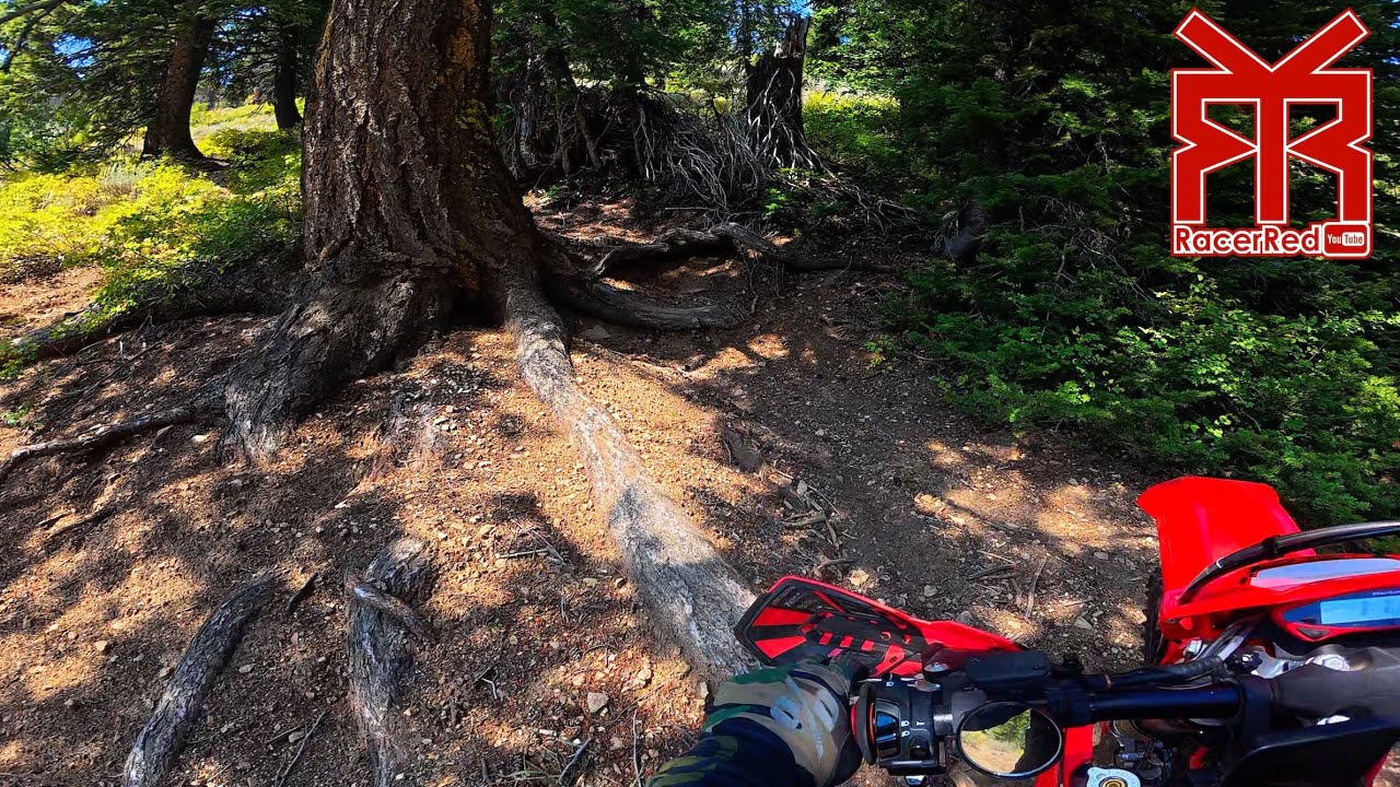 Баумгартнер, Айдахо — Лысые шины и крутые подъёмы на моём Beta 300