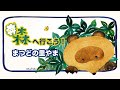 まつどの里やま~森へ行こう編~