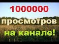Миллион просмотров на канале Деревенский блокнот!